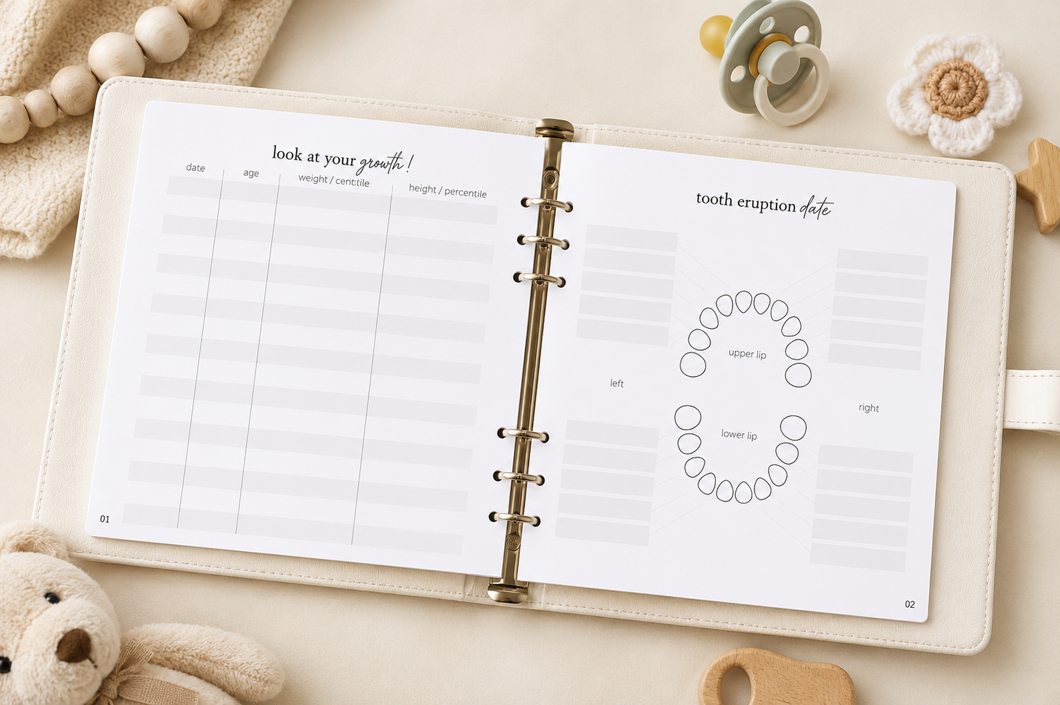 Baby's First 5 Years Memory Book
